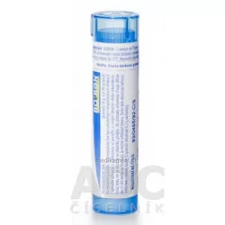 Boiron SULFURICUM ACIDUM granule CH9 4 g