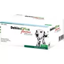 DEHINEL PLUS FLAVOUR pre psov tablety 100 ks