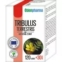 EDENPharma Tribulus terrestris tablety 150 ks