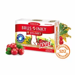 TEREZIA BRUSLINKY + BYLINKY Akut kapsuly 10 ks