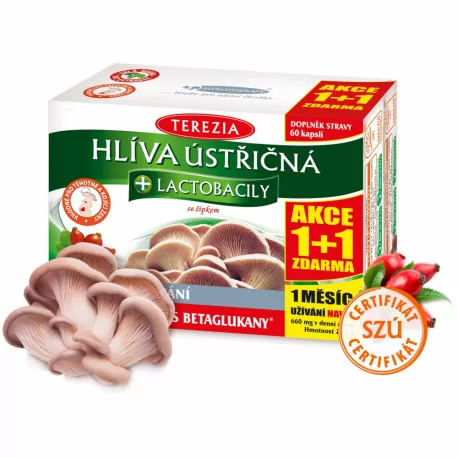 TEREZIA HLIVA USTRICOVITÁ + LAKTOBACILY kapsuly 120 ks