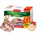 TEREZIA HLIVA USTRICOVITÁ + LAKTOBACILY kapsuly 120 ks