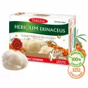 TEREZIA HERICIUM ERINACEUS S RAKYTNÍKOVÝM OLEJOM kapsuly 60 ks