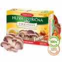 TEREZIA HLIVA USTRICOVITÁ + REISHI kapsuly 60 ks
