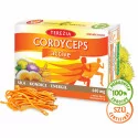 TEREZIA CORDYCEPS active kapsuly 60 ks