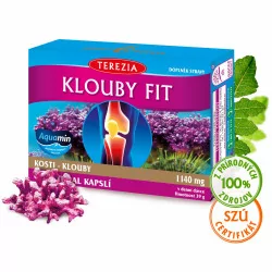 TEREZIA KĹBY FIT kapsuly 60 ks