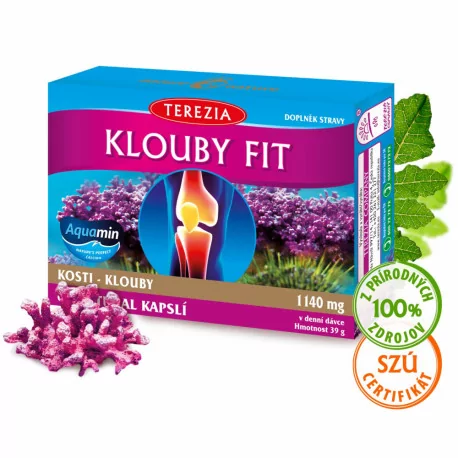 TEREZIA KĹBY FIT kapsuly 60 ks