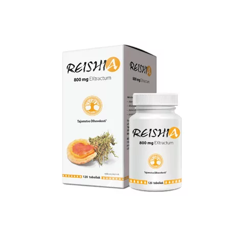 REISHIA 800 mg EXtractum 120cps