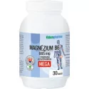 EDENPharma Magnézium B6 mega kapsuly 30 ks