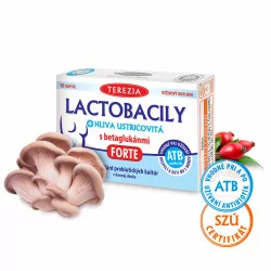 TEREZIA LACTOBACILY + HLIVA USTRICOVÁ FORTE kapsuly 10 ks