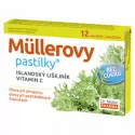 MÜLLEROVE pastilky s ISLANDSKÝM LIŠAJNÍKOM bez cukru 12 ks