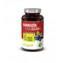 CarnoMed Karnozín EXTRA Pure&Strong kapsuly 100 ks