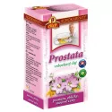 AGROKARPATY PROSTATA Vŕbovkový čaj vrecúška 20 x 2 g 