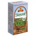 AGROKARPATY BIO SKOROCEL kopijovitý čaj vrecúška 20 x 2 g 