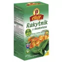 AGROKARPATY BIO Rakytník s medovkou ovocno - bylinný čaj vrecúška 20 x 1,5 g