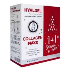 HYALGEL COLLAGEN MAXX Vianočné balenie s pomarančovou príchuťou 2 x 500 ml