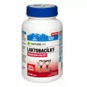 SWISS NATUREVIA Laktobacilky Kids s čerešňovou príchuťou pastilky 66 ks