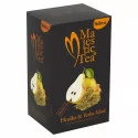 Biogena Majestic Tea Hruška & Yerba Maté ovocný čaj 20 x 2,5 g 