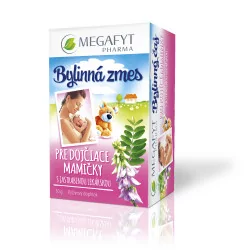 MEGAFYT Bylinný čaj PRE DOJČ. MAMIČKY s jastrabinou 20 x 1,5 g 