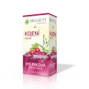 MEGAFYT Bylinková lekáreň DOJČENIE ovocný čaj 20 x 1,5 g
