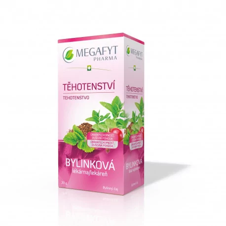 MEGAFYT Bylinková lekáreň TEHOTENSTVO bylinný čaj 20 x 1,5 g