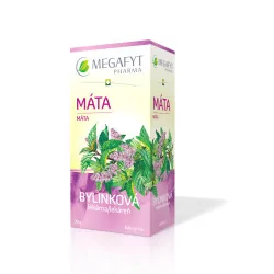 MEGAFYT Bylinková lekáreň MATA bylinný čaj 20 x 1,5 g