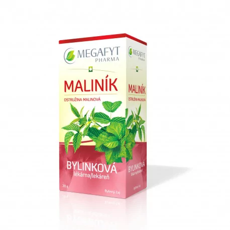 MEGAFYT Bylinková lekáreň OSTRUŽINA MALINOVÁ bylinný čaj 20 x 1,5 g 