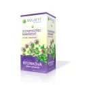 MEGAFYT Bylinková lekáreň PESTREC MARIÁNSKY bylinný čaj 20 x 2,5 g 
