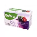 Biogena Fantastic Tea Malina & Ostružina ovocný čaj 20 x 2,2 g 