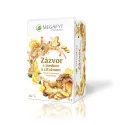 MEGAFYT ZÁZVOR S MEDOM & CITRÓNOM 20 x 2 g 