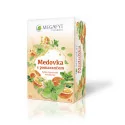 MEGAFYT Medovka s pomarančom 20 x 2 g 