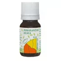 HANUS SILICA POMARANČOVÁ olej 10 ml