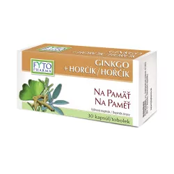 FYTO Ginkgo + horčík na pamäť kapsuly 30 ks