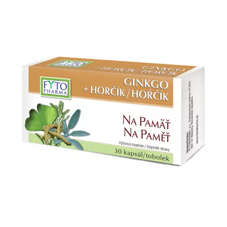 FYTO Ginkgo + horčík na pamäť kapsuly 30 ks