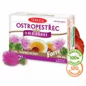 TEREZIA PESTREC + REISHI Forte kapsuly 60 ks