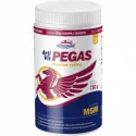 VITAR Veterinae Artivit PEGAS MSM sypká zmes 720 g