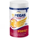 VITAR Veterinae Artivit PEGAS FORTE 7 sypká zmes 700 g