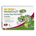 Dr.Theiss HerbalSept Kids kašel lízanky 6 ks
