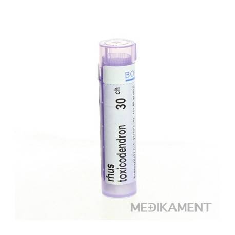 Boiron RHUS TOXICODENDRON granule CH30 4 g