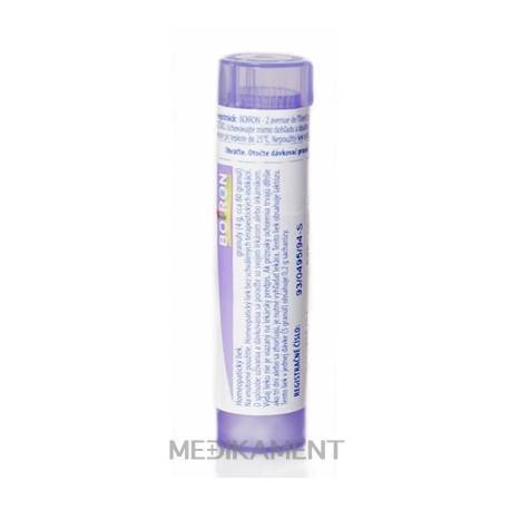 Boiron NUX VOMICA granule CH30 4 g