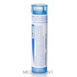 Boiron HYPERICUM PERFORATUM granule CH9 4 g