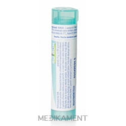 Boiron THUYA OCCIDENTALIS granule CH200 4 g