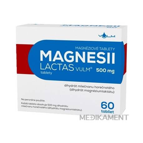 MAGNESII LACTAS VULM 500 mg tbl (blis.Al/PVC) 1x60 ks