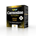 SALUTEM Carnosine komplex 900 mg tablety 120 ks