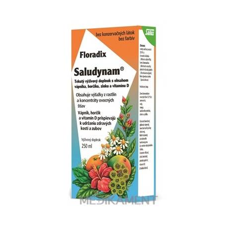 SALUS Floradix Saludynam tekutá froma 250 ml