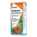 SALUS Floradix Saludynam tekutá froma 250 ml