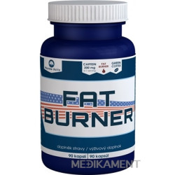 Pharma Activ FAT BURNER kapsuly 90 ks
