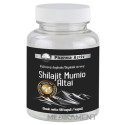 Pharma Activ Shilajit Mumio Altai kapsuly 60 ks