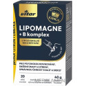 VITAR KINGS LIPOMAGNE + B komplex prášok vo vrecúškach 20 ks