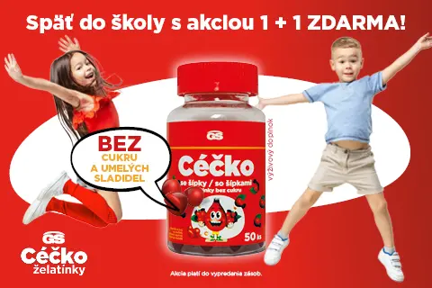 GS Céčko 1+1